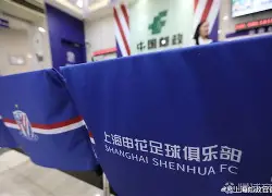 爱游戏体育-山东泰山2024年亚冠参赛球员名单