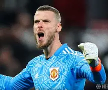 阿扎伦卡有几个大满贯